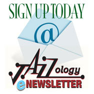 E-Newsletter Signup